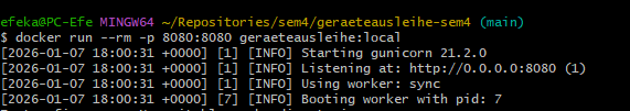 Docker Container Run