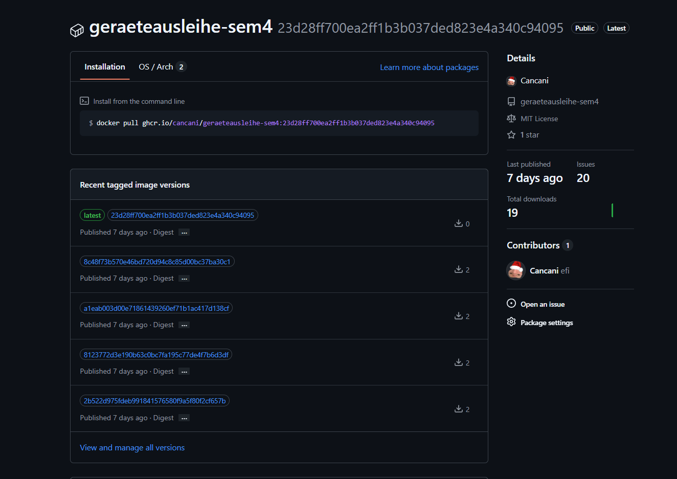 GHCR Tags